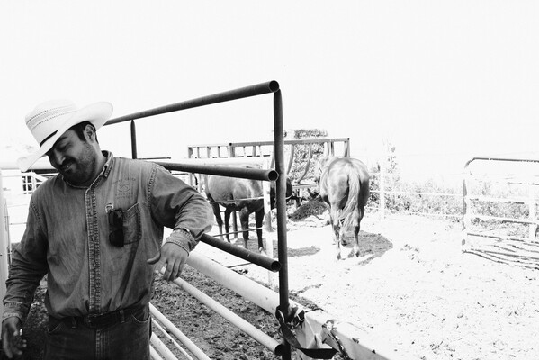 A black-and-white photograph of a smiling Black man in a cowboy hat leaning on the metal gate of a corral in which two horses stand.