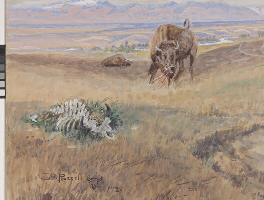 A detail of a watercolor of a mounted Native American confronting a steer.