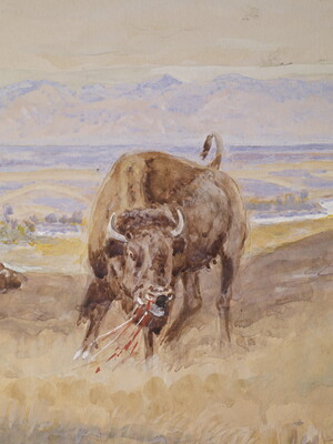 A detail of a watercolor of a mounted Native American confronting a steer.