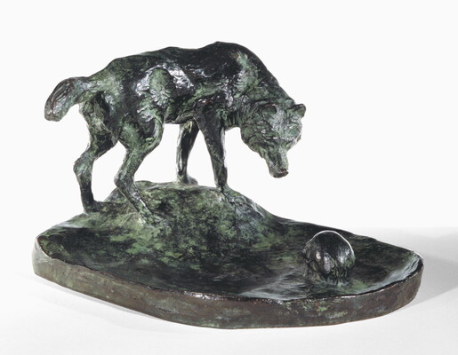 A sculpture of a wolf staring at a human skull on the ground.