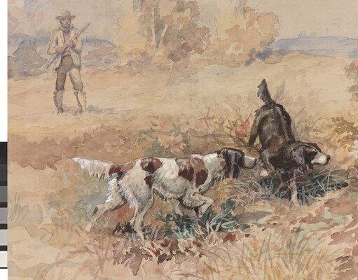 A detail of the dogs in a watercolor of two sporting dogs pointing to some brush in a field while a hunter stands back holding his rifle.