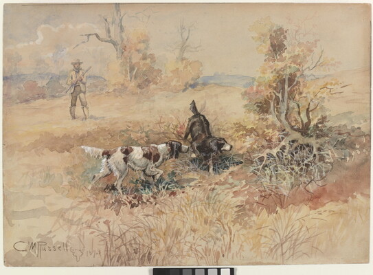 A watercolor of two sporting dogs pointing to some brush in a field while a hunter stands back holding his rifle.