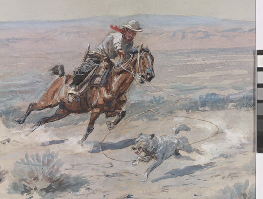 A watercolor of a cowboy riding a horse while roping a wolf.