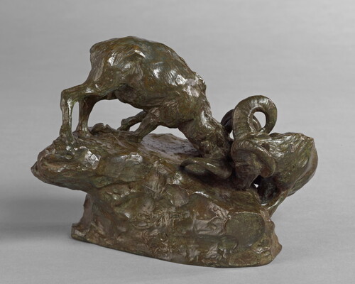 A bronze sculpture of two mountain sheep fighting on the edge of a rock.