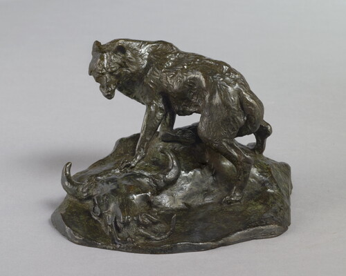 A bronze sculpture of a wolf standing over a bison skull with a rattlesnake hiding inside.