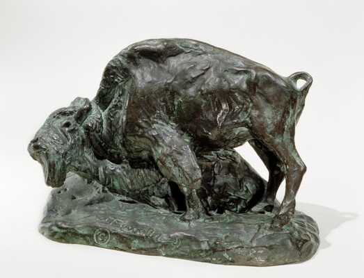A bronze sculpture of a bison with his head and front leg lowered toward the ground.
