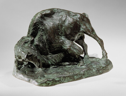 A bronze sculpture of a bison with his head and front leg lowered toward the ground.