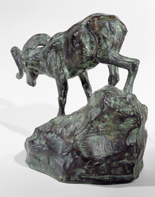 A bronze sculpture of a mountain sheep walking down a rock.