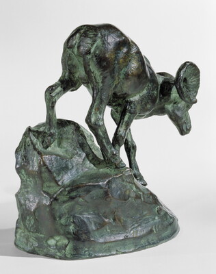 A bronze sculpture of a mountain sheep walking down a rock.