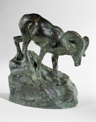 A bronze sculpture of a mountain sheep walking down a rock.