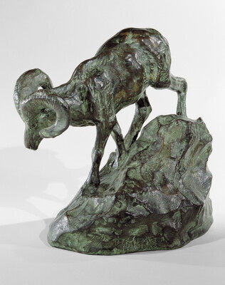 A bronze sculpture of a mountain sheep walking down a rock.