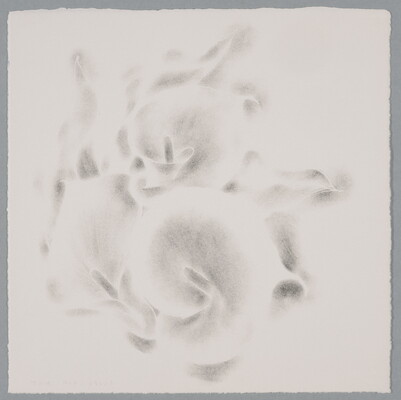 An abstract black-and-white print of what resembles delicate rose petals curling around each other.