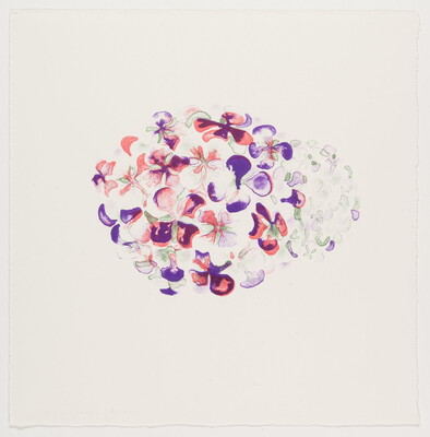 A color print of an abstract oval shape consisting of pink, purple, and green flower petal shapes.