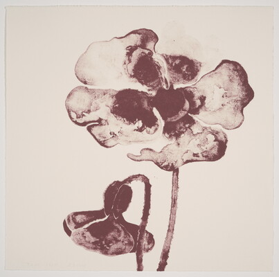 A color print of an open poppy-shaped flower and a drooping, semi-open, flower rendered in a dark purple, almost black, ink.