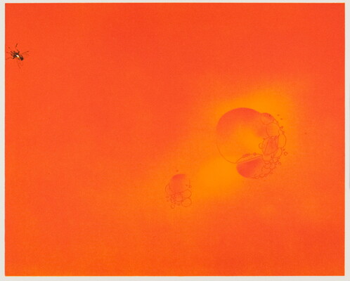 A color print in bright orange of two clusters of bubbles at the center right and a small black fly in the upper left corner.