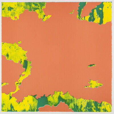 An abstract color print of a solid orange background with organic yellow and green rivulets flowing onto it like water.
