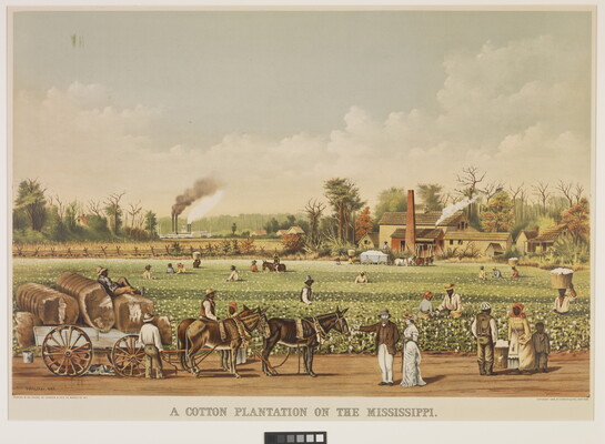A color print of a cotton field with Black people picking the crops while, in the foreground, a White couple stands by a horse-drawn cart filled with cotton bales.