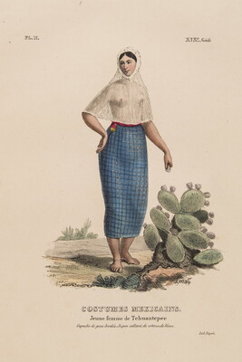 A color print of a barefoot woman wearing a windowpane patterned skirt and translucent veil over her head, breasts, and torso.