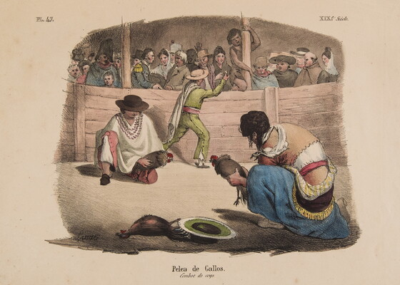A color print of two figures holding chickens preparing to fight next to a dead chicken and onlookers in the background.
