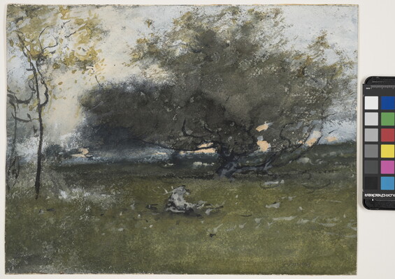 An impressionist-style watercolor of a large apple tree surrounded by grass.