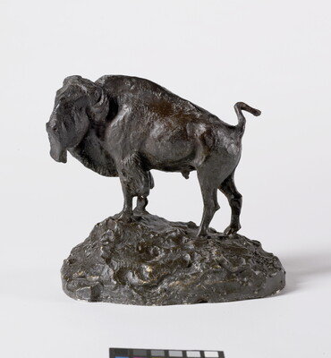 A brown sculpture of a bison standing on a slightly rocky incline.