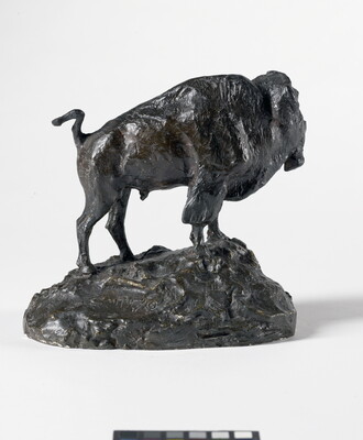 A brown sculpture of a bison standing on a slightly rocky incline.