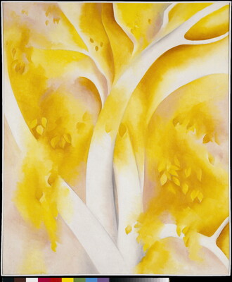 An abstract oil painting of the branches of a white birch tree with yellow leaves.