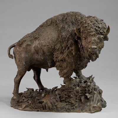A bronze sculpture of a wooly bison standing on a rock.