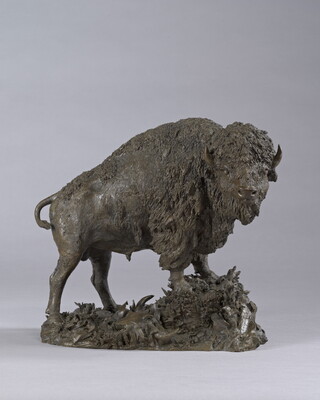 A bronze sculpture of a wooly bison standing on a rock.