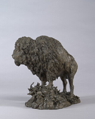 A bronze sculpture of a wooly bison standing on a rock.