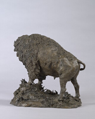 A bronze sculpture of a wooly bison standing on a rock.