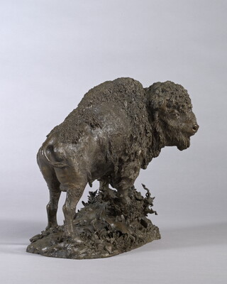 A bronze sculpture of a wooly bison standing on a rock.