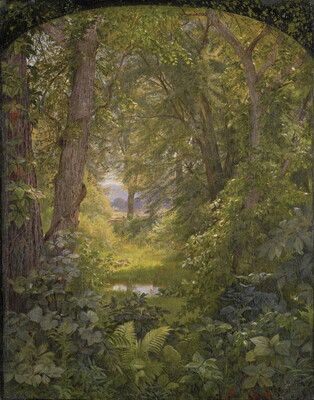 An oil painting of a lush green forest with a variety of plants in the foreground and tall trees in the distance.