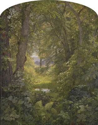 An oil painting of a lush green forest with a variety of plants in the foreground and tall trees in the distance.