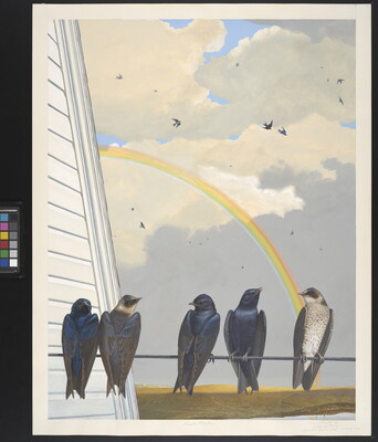 A watercolor of a group of iridescent black birds on a powerline next to a house; a rainbow in the sky in the background.