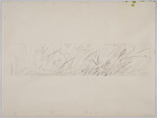 A very faint, black-and-white line drawing of a small bird perched in tall grass.