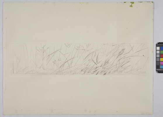 A very faint, black-and-white line drawing of a small bird perched in tall grass.