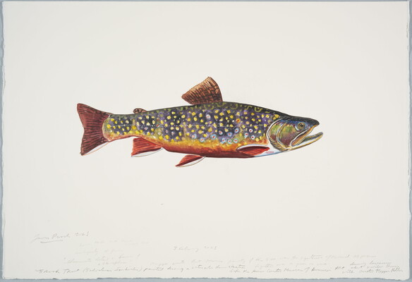A watercolor of a multicolored fish.