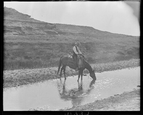 A cowboy [LS foreman Zack T. Burkett] watering his horse in a shallow ...