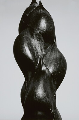A close-up black-and-white photograph of the dark stem and buds of a plant.