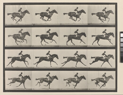 A series of black-and-white photographs of a jockey riding a running horse.