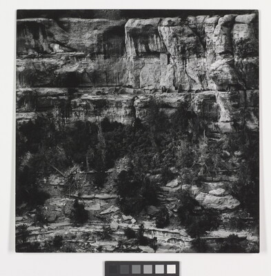A black-and-white photograph of cliff dwellings in ruins on the side of a steep cliff.