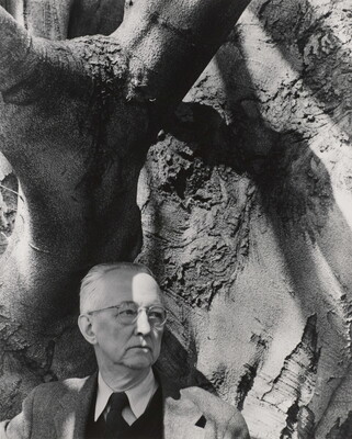 A black-and-white photograph of an older White man wearing glasses, a suit and tie standing under the branch of a large tree with rough bark.