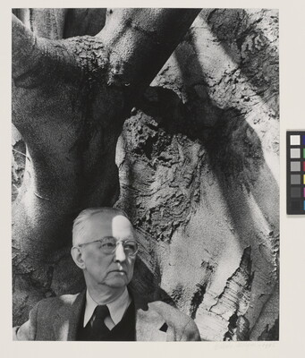 A black-and-white photograph of an older White man wearing glasses, a suit and tie standing under the branch of a large tree with rough bark.