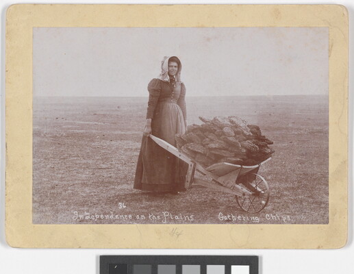 A black-and-white photograph of a White woman wearing a long, dark dress and a bonnet pushing a wheelbarrow filled with manure.