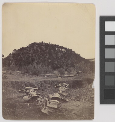 A black-and-white photograph of a pile of animal bones in the foreground and a tree-covered hill in the background.