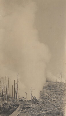 A black-and-white photograph of bare and fallen trees with a column of smoke or vapor rising from the ground.