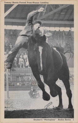 A black-and-white photograph of a White man being thrown from a horse in an arena full of spectators.