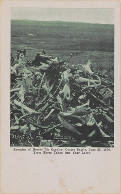 A black-and-white postcard of a pile of weathered bones in front of a barren landscape.