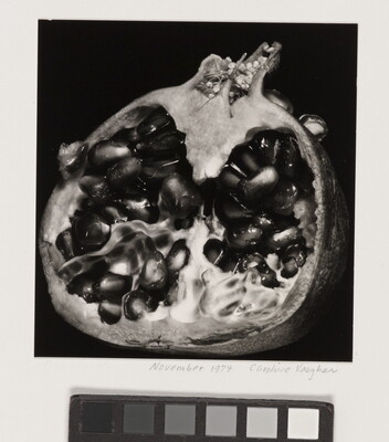 A black-and-white, close-up photograph of the inside of a pomegranate that has been cut in half.
